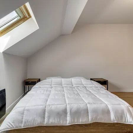 Daire Duplex Design Avec Balcon I Hyper Centre Thonon-les-Bains