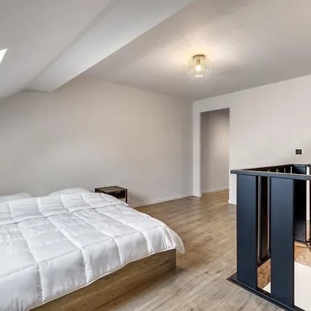 Daire Duplex Design Avec Balcon I Hyper Centre Thonon-les-Bains
